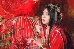 古風 朱雀 (11)