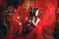 古風 朱雀 (26)