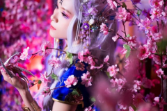 青龍旗袍版 (20)
